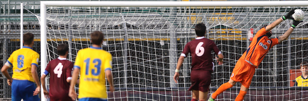 Cittadella-Pro Piacenza 1-1