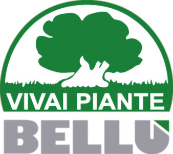 Bellù