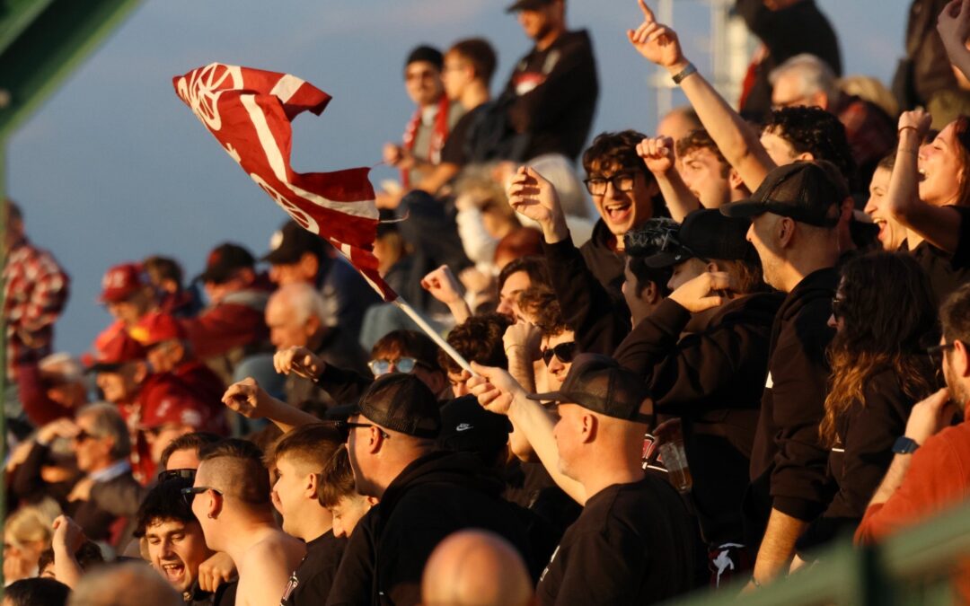 Biglietti Citta – Arzignano V.