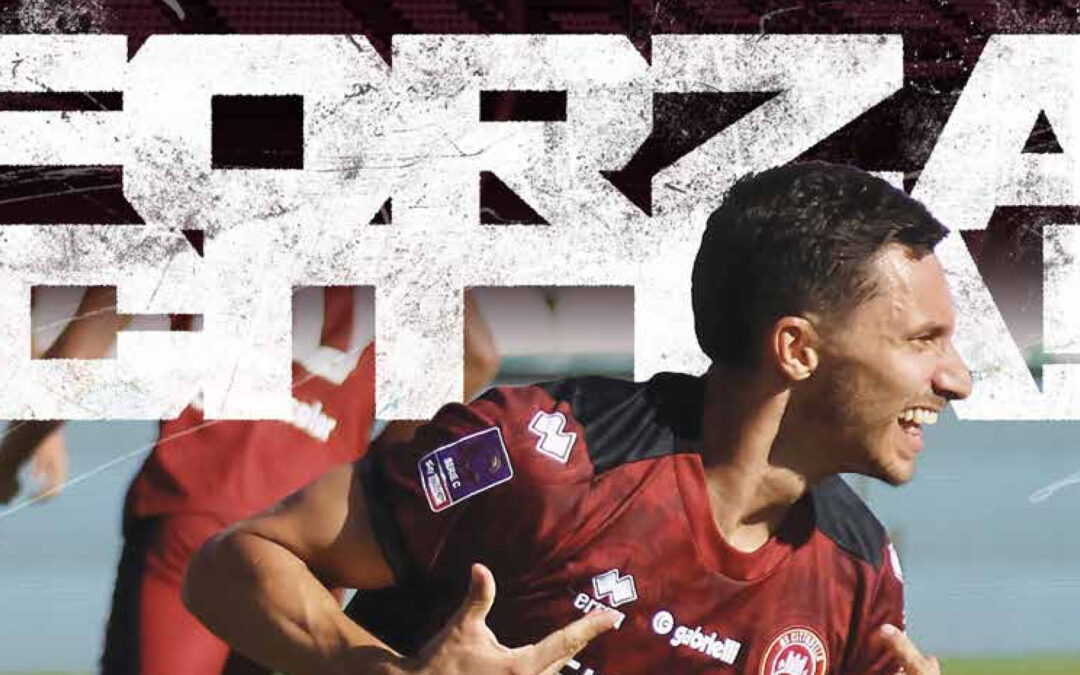 Cittadella | Arzignano